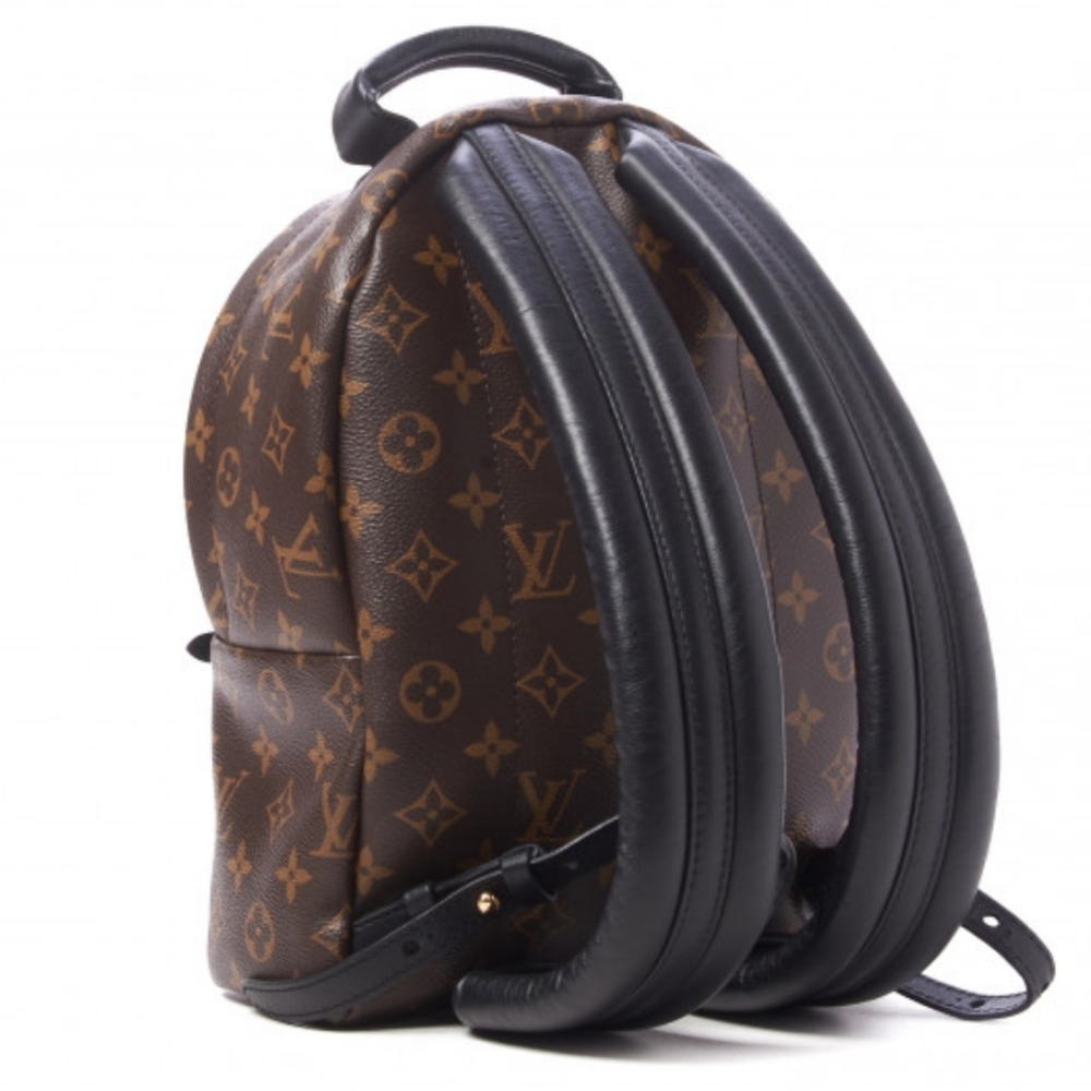Louis Vuitton Palm Springs Backpack PM - Picture 3 of 13